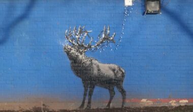 Rumoured Banksy reindeer appears in London Fields before Christmas | News UK