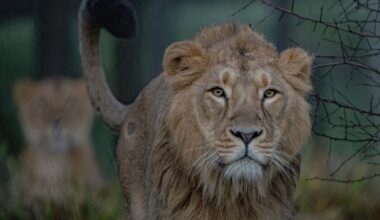 News and Info from Deeside, Flintshire, North Wales