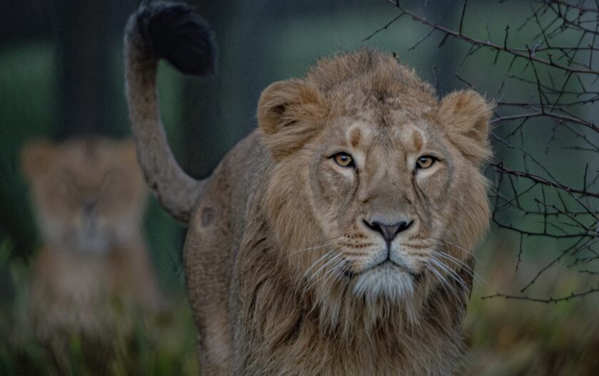 News and Info from Deeside, Flintshire, North Wales