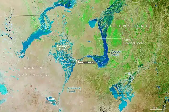 The Landsat Scene Highlights The Extensive Flooding Across Cooper Creek And Nearby Regions