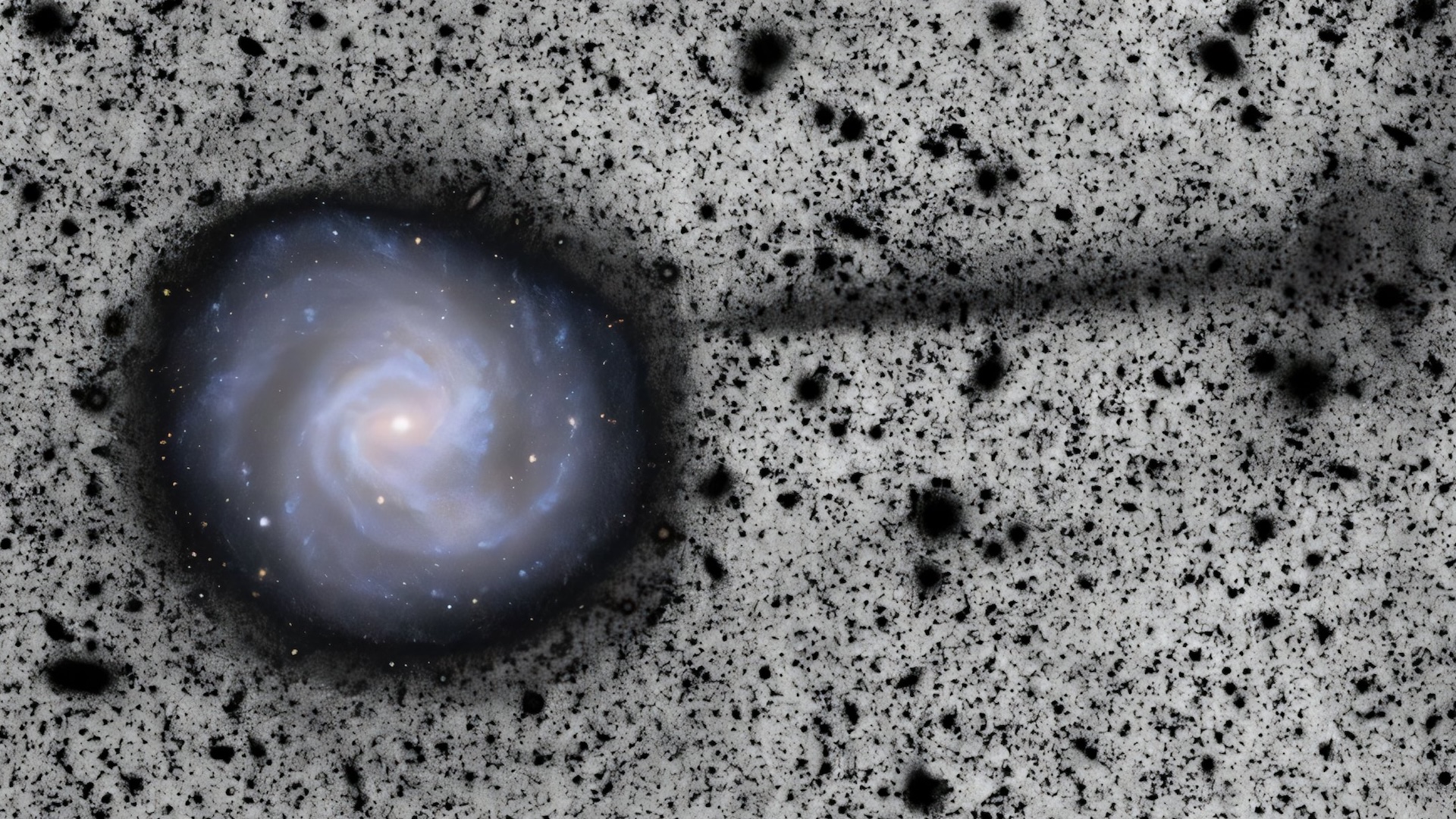 An image of a spiral galaxy on a splotchy black and white background with a stream of black material emerging from the galaxy