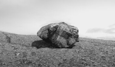 I ignored every rule of photographic composition that I teach. The world did not end!