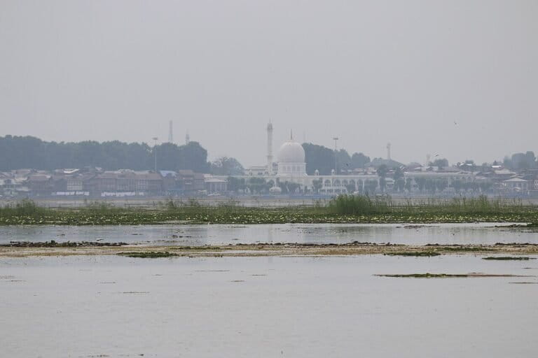 Among proposed Carbon Dioxide Removal methods, some traditional ones involve enhancing natural carbon sinks such as forests and wetlands. Representative image by Akshaymogha via Wikimedia Commons (CC BY-SA 4.0).