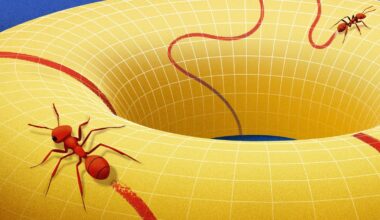 Behold the Manifold, the Concept that Changed How Mathematicians View Space