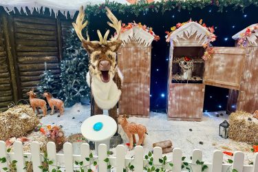 The talking Reindeer in St George's Pic: Louise Gooch