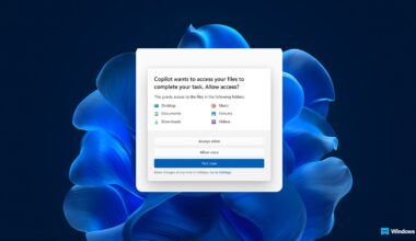 Windows 11 AI ask consent to access personal files