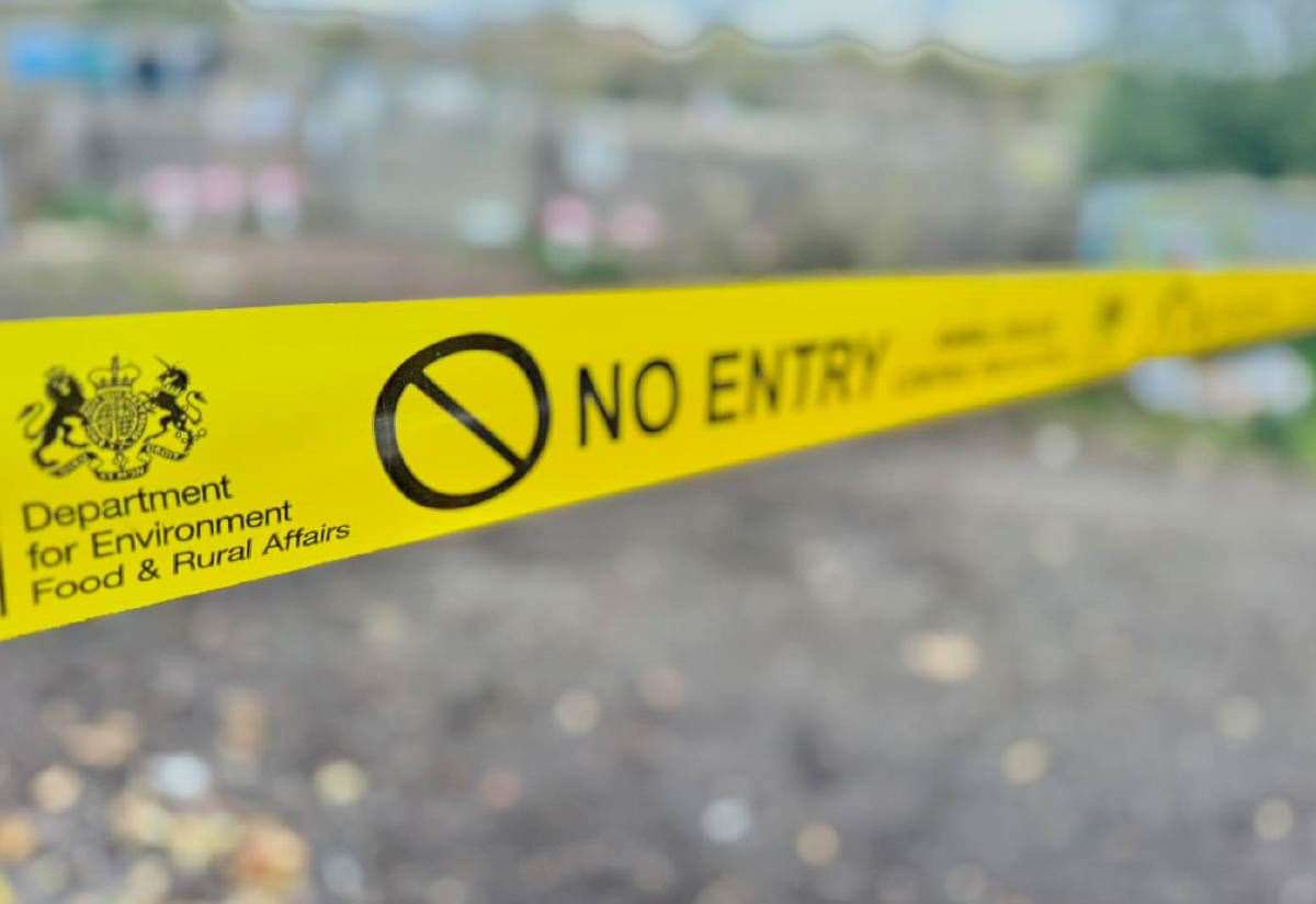 Kent’s third bird flu outbreak as new protection zone put in place at site in Newington, near Sittingbourne