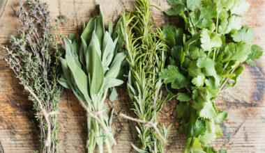 The fragrant, seasonal herb that can boost memory, mood and the mind