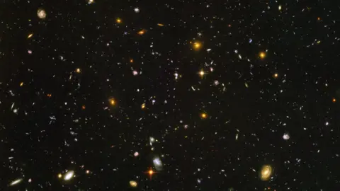 NASA/ESA The image shows a completely black sky sprinkled with thousands of tiny coloured specks: every speck is a distant galaxy, not a single star.
The galaxies come in many shapes and colours, from small bluish smudges to larger golden spirals and fuzzy red blobs, scattered evenly across the frame.
There is no foreground or horizon, just a deep, seemingly endless view into the distant Universe packed with galaxies of all kinds.