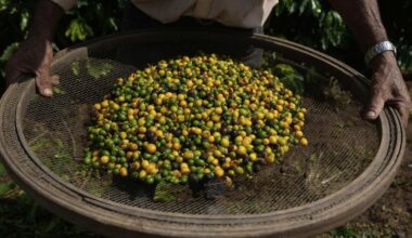 Global impact of US tariffs in 5 charts