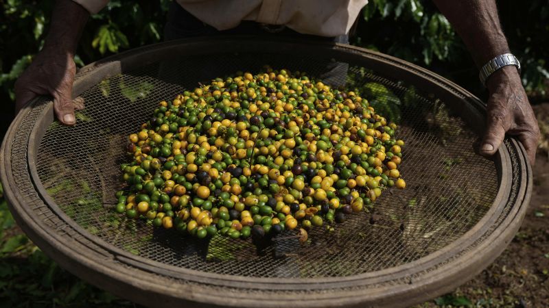 Global impact of US tariffs in 5 charts