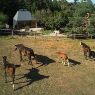 Hut with trapezoidal roof