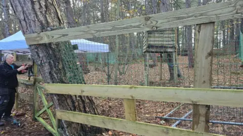 Steve Howard A man is pictured putting up some wooden fencing and plastic mesh in a forest setting
