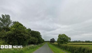A countryside road. Grass verges with green bushes and trees line the road. The sky is overcast.