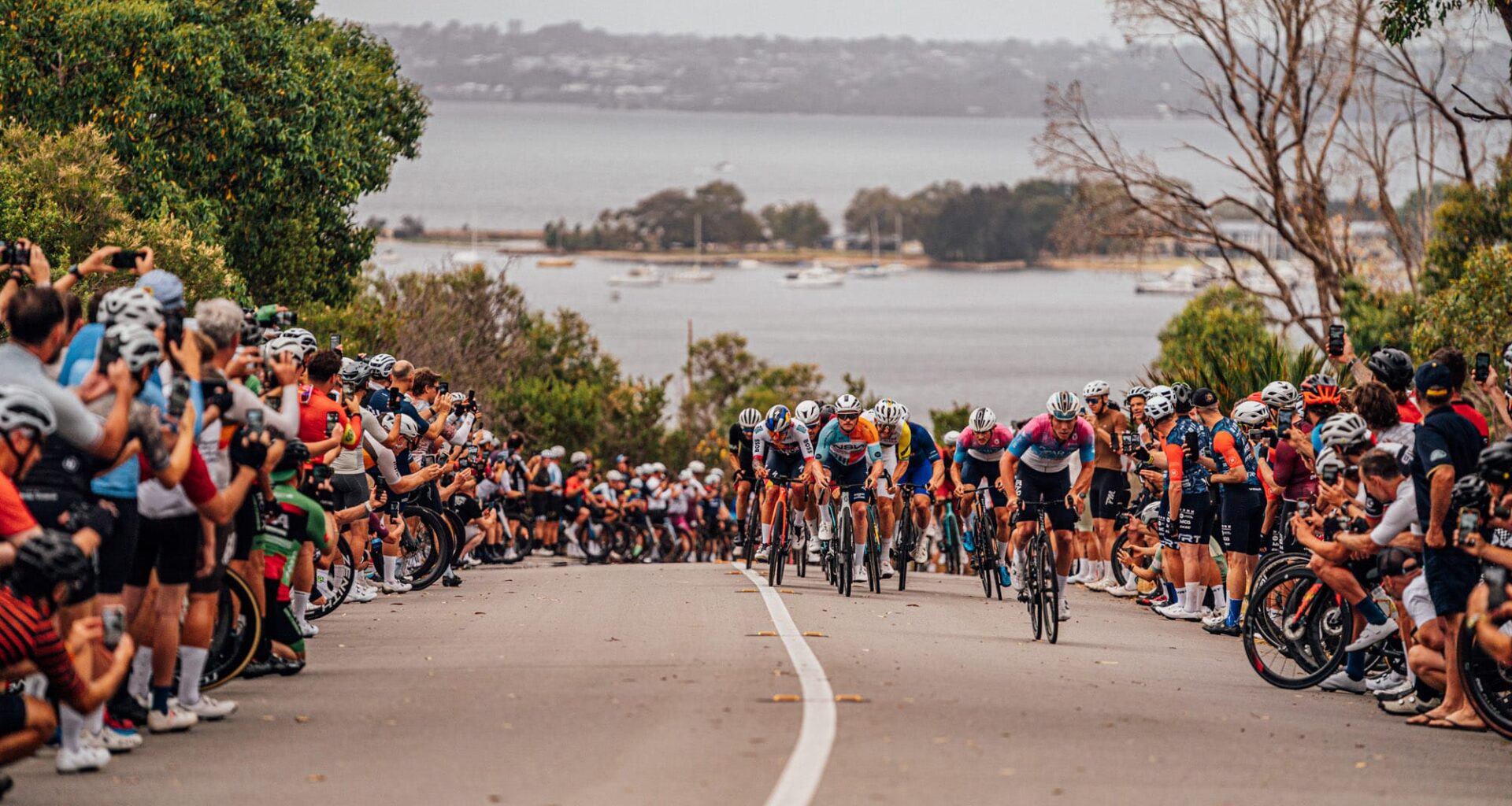 Chop 'till you drop: inside Boxing Day Papas