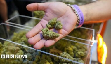 Man holding green marijuana over a plastic container at a trade show in Florida in September 2025