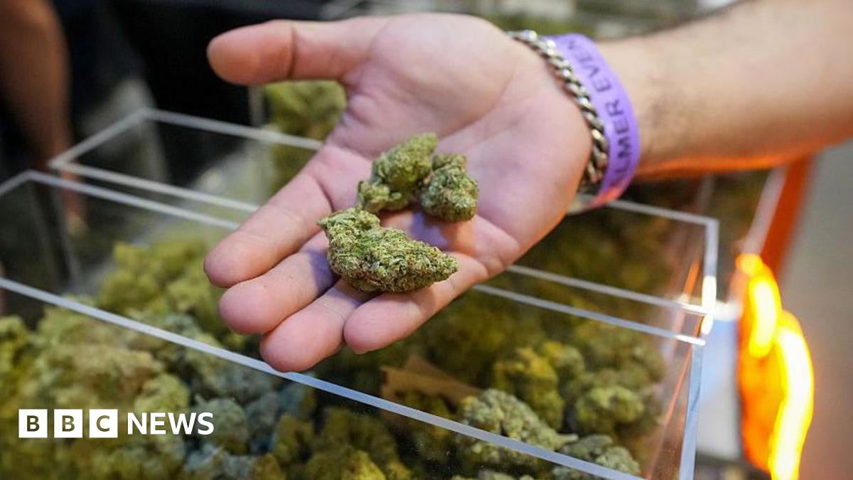 Man holding green marijuana over a plastic container at a trade show in Florida in September 2025