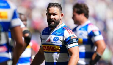 'I still have goals': Cobus Reinach buzzing for Stormers vs Bulls showdown - BokSquad