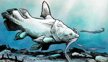Famous fish that survived the dinosaurs had much older relatives