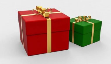 Christmas 2025 Gift Guide: Best smartwatch options to buy - Deccan Herald