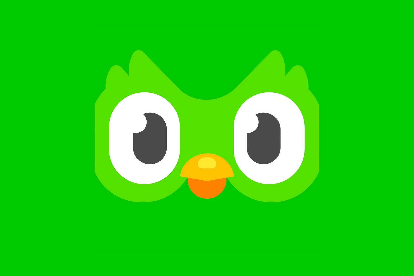 The Duolingo logo.