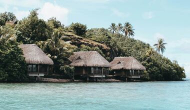 Planning your next holiday? Here’s how to spot and avoid greenwashing