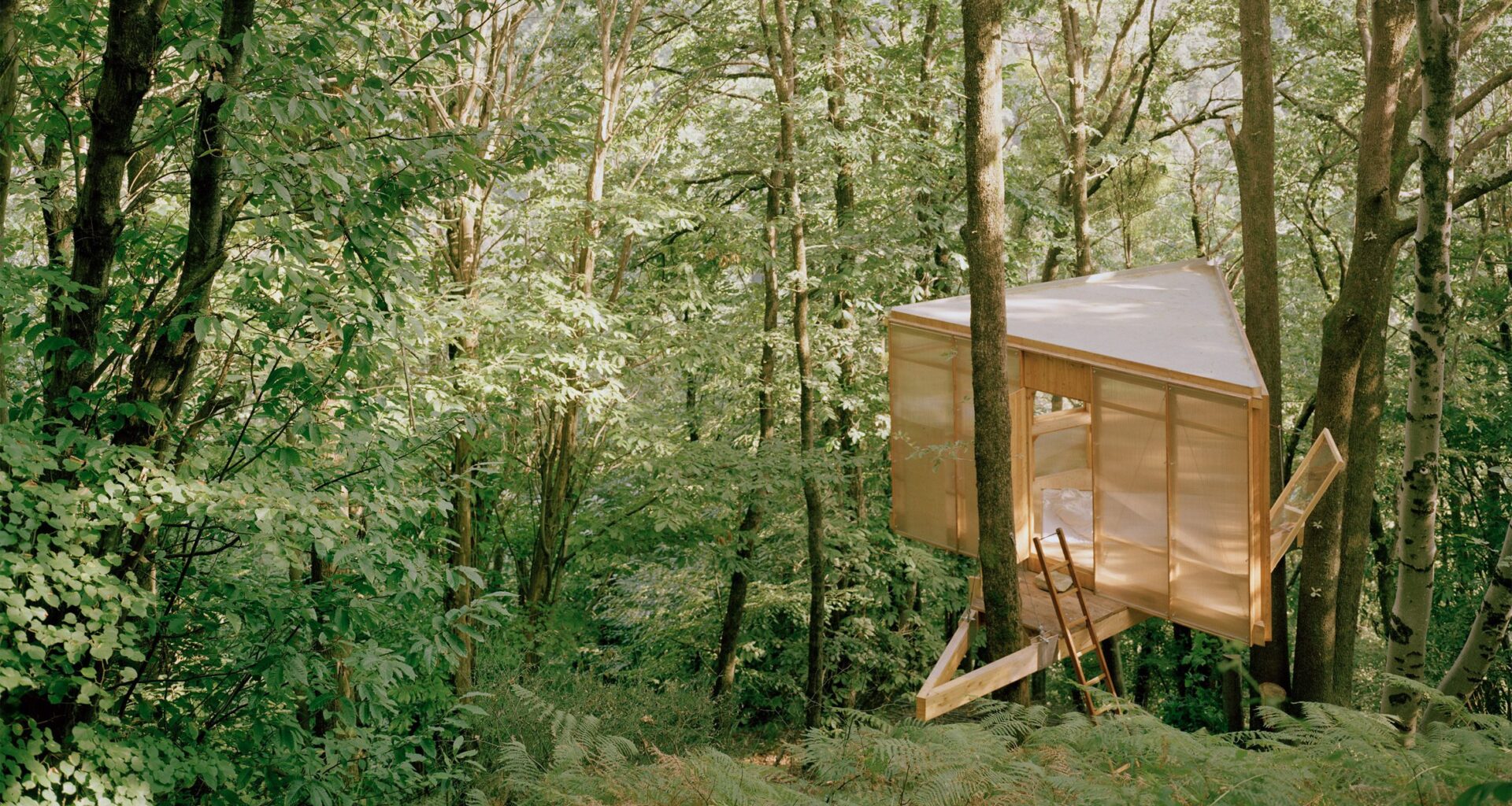 Olin Petzold nestles self-built treehouse in Swiss valley