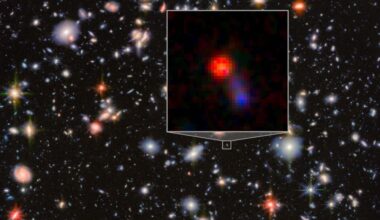 The JWST examined a puzzling a galaxy from when the Universe was only about 800 million years old. When observed in visible and UV light, it appears much like any other galaxy. But in infrared, the JWST can see its supermassive black hole, which is accreting massive amounts of matter and emitting extreme radiation. Image Credit: ESA/Webb, NASA &amp; CSA, G. Östlin, P. G. Perez-Gonzalez, J. Melinder, the JADES Collaboration, M. Zamani (ESA/Webb)