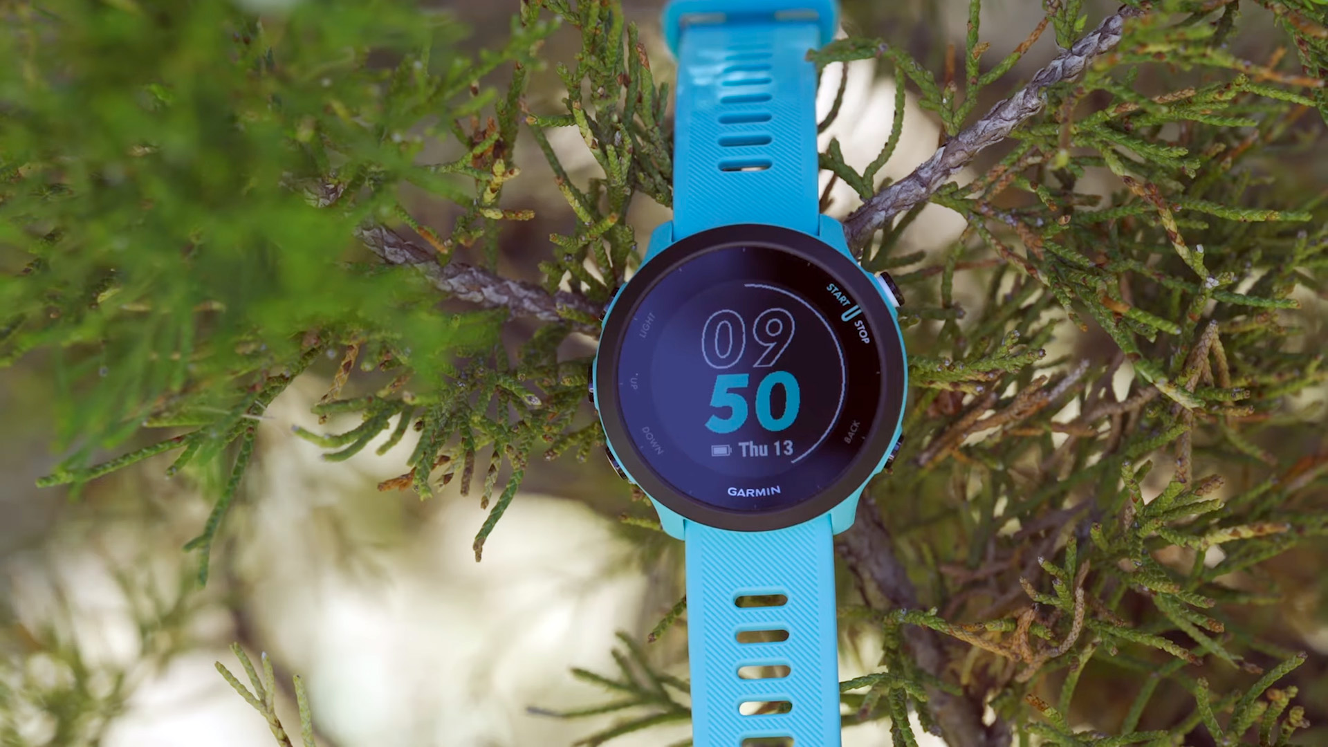 Garmin Forerunner 55