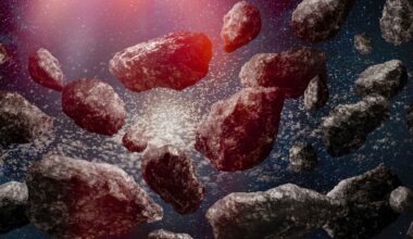 Astronomers find unexpected cluster of objects in the Kuiper Belt