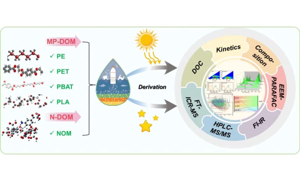 Molecular Insights Into The Dynamics Of Microplastic Derived Organic Matter