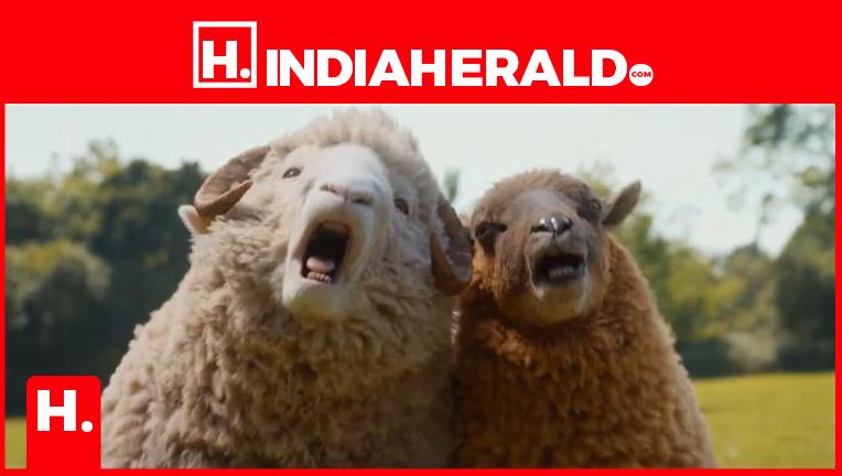 Murder Mystery Solved by Sheep? Yes, You Read That Right