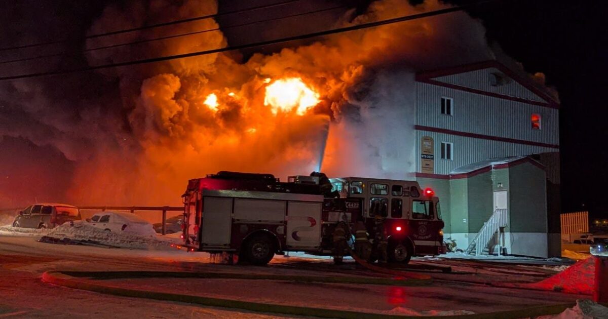 Fire, Netflix and animal control made the news