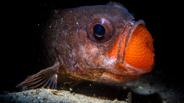 The best nature photography of 2025