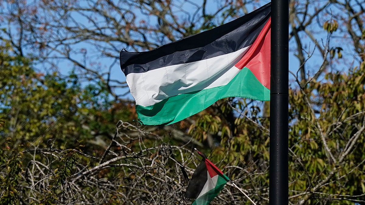 Palestinian flag in Birmingham, UK