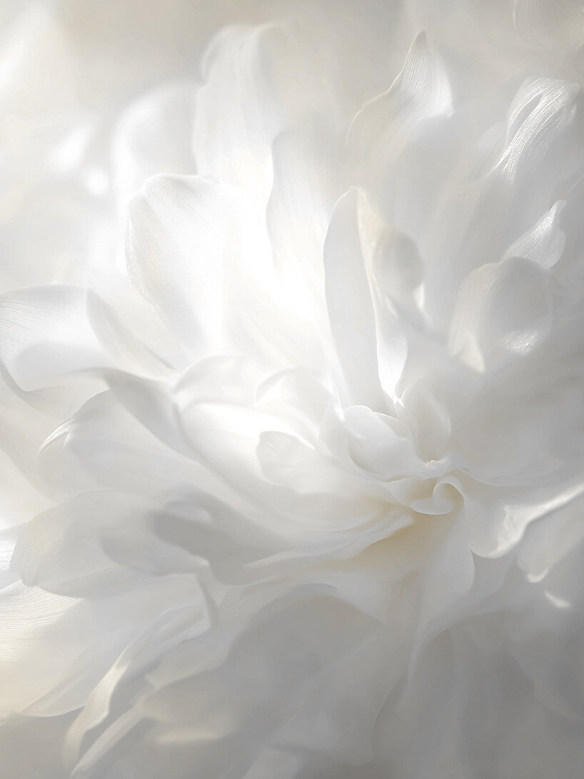 pantone names cloud dancer its color of the year 2026