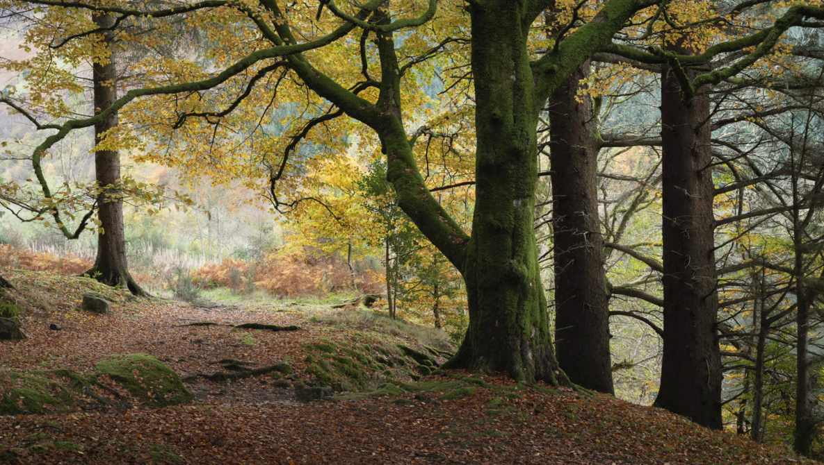 Micro Moves That Make a Landscape Photo Click