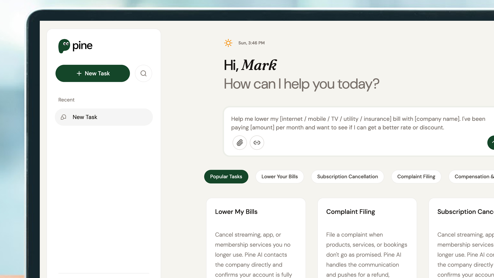 A laptop screen showing the Pine AI website