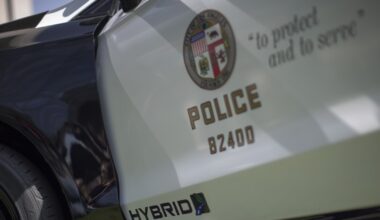 LAPD mental health calls