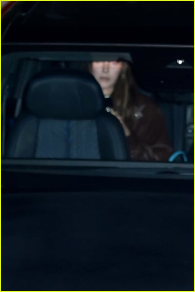 Timothee Chalamet birthday party guests images