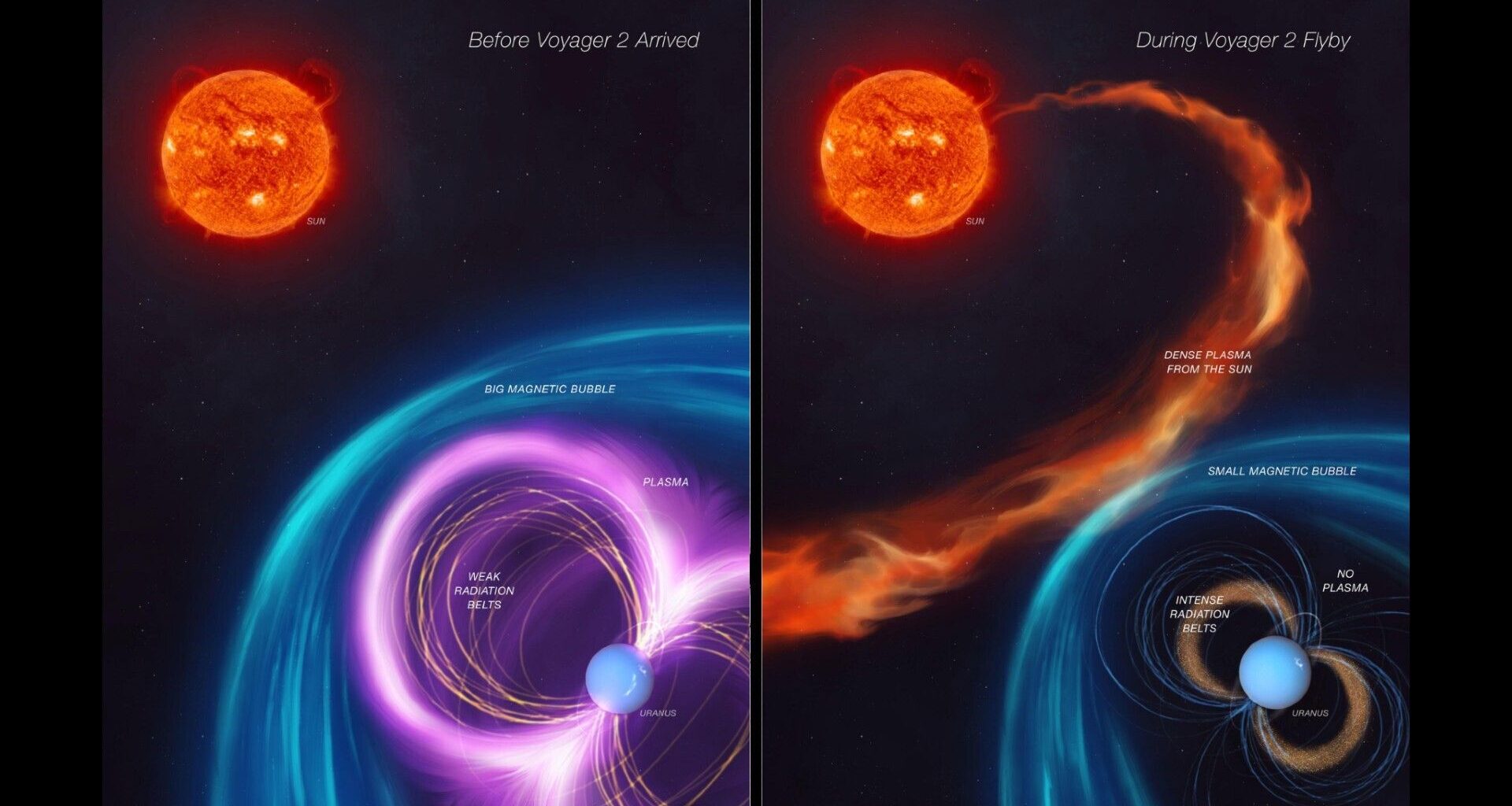 Two side by side illustrations showing Uranus's spin and magnetic field with the Voyager 2 spacecraft flying nearby