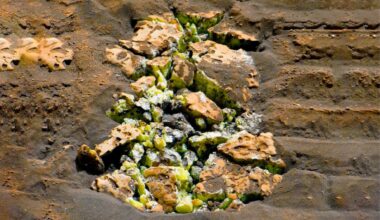 Yellow Crystals That Were Revealed After Nasa's Curiosity Happened To Drive Over A Rock And Crack It Open