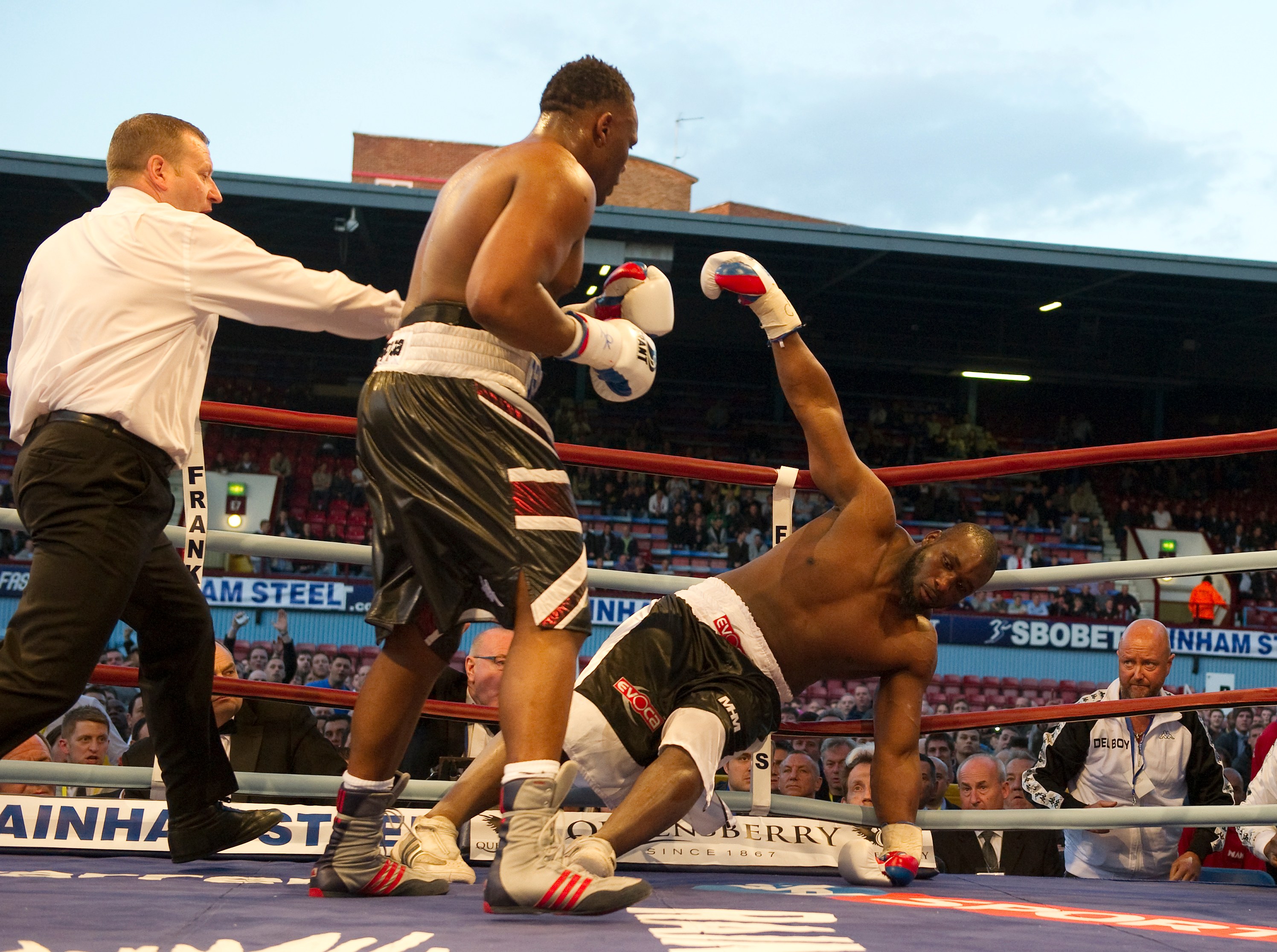 NINTCHDBPICT000004728244