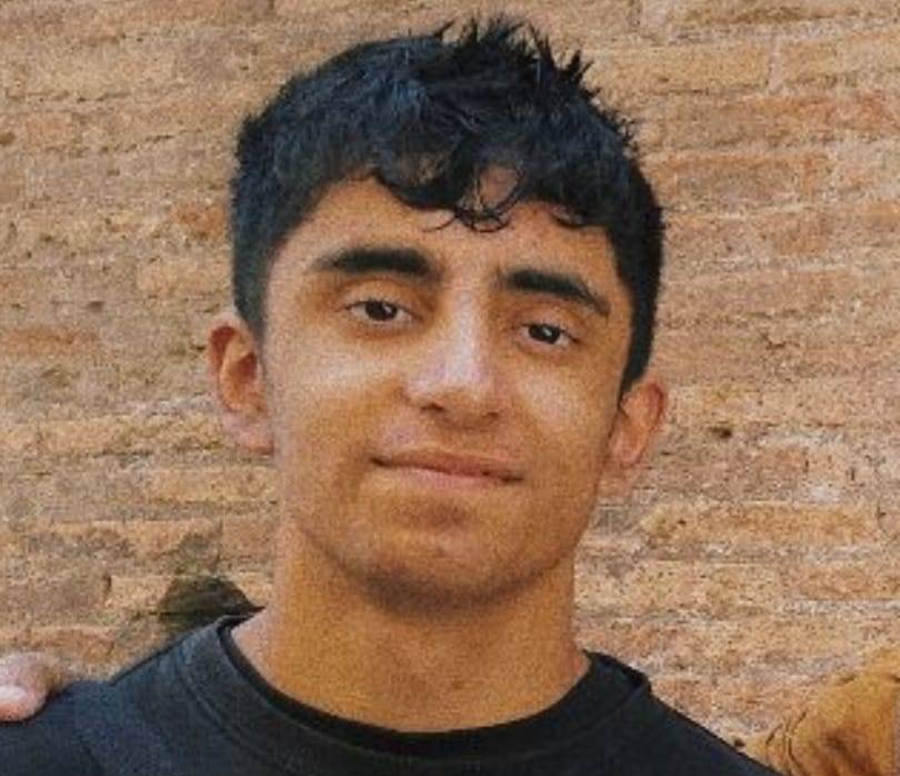 Jaswant Chail, 21, in a black sweatshirt with a shoulder strap and a white pin on the chest.