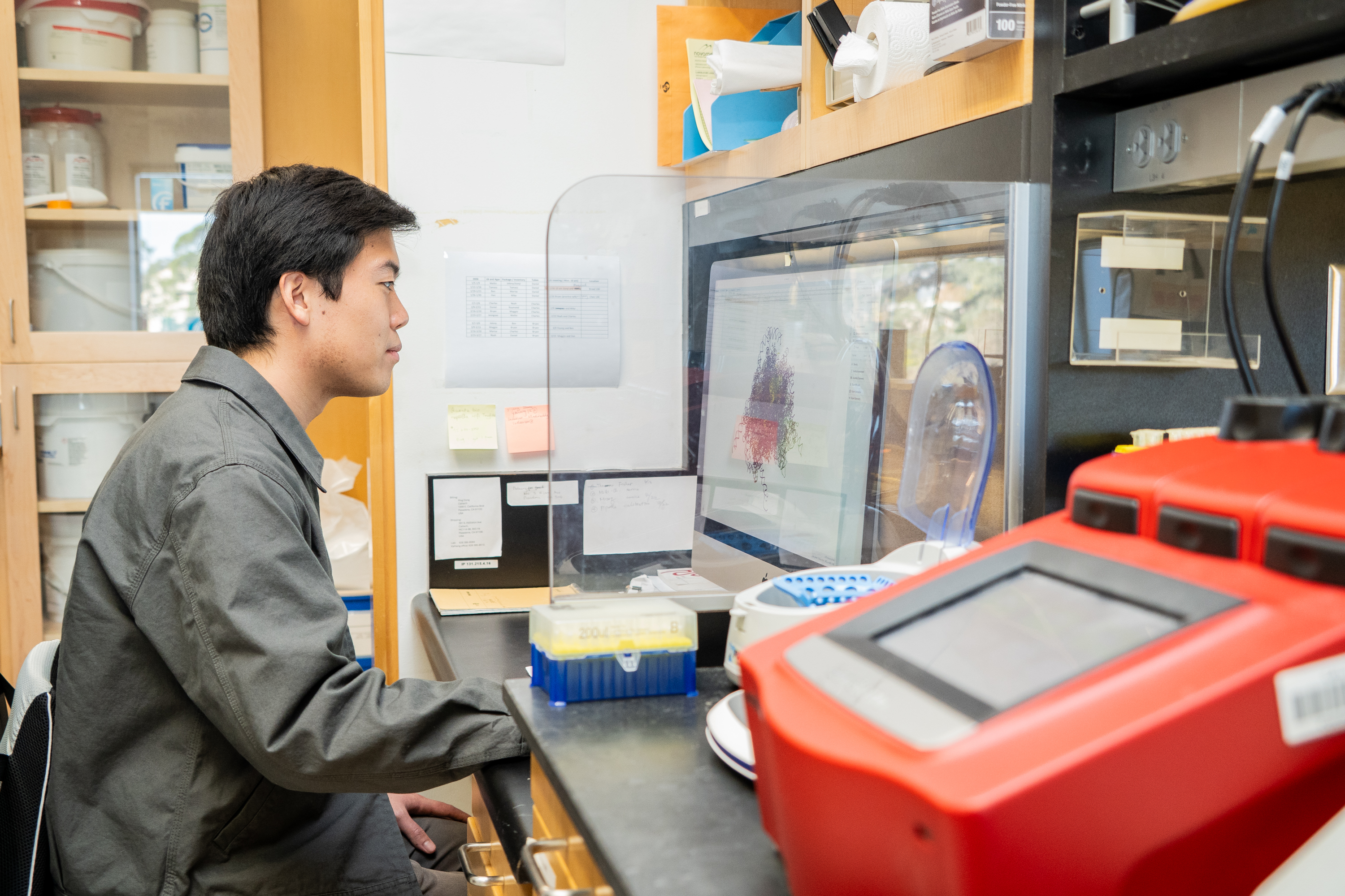 Brian Hie writing genetic code to create synthetic life in the lab at Cal Tech.