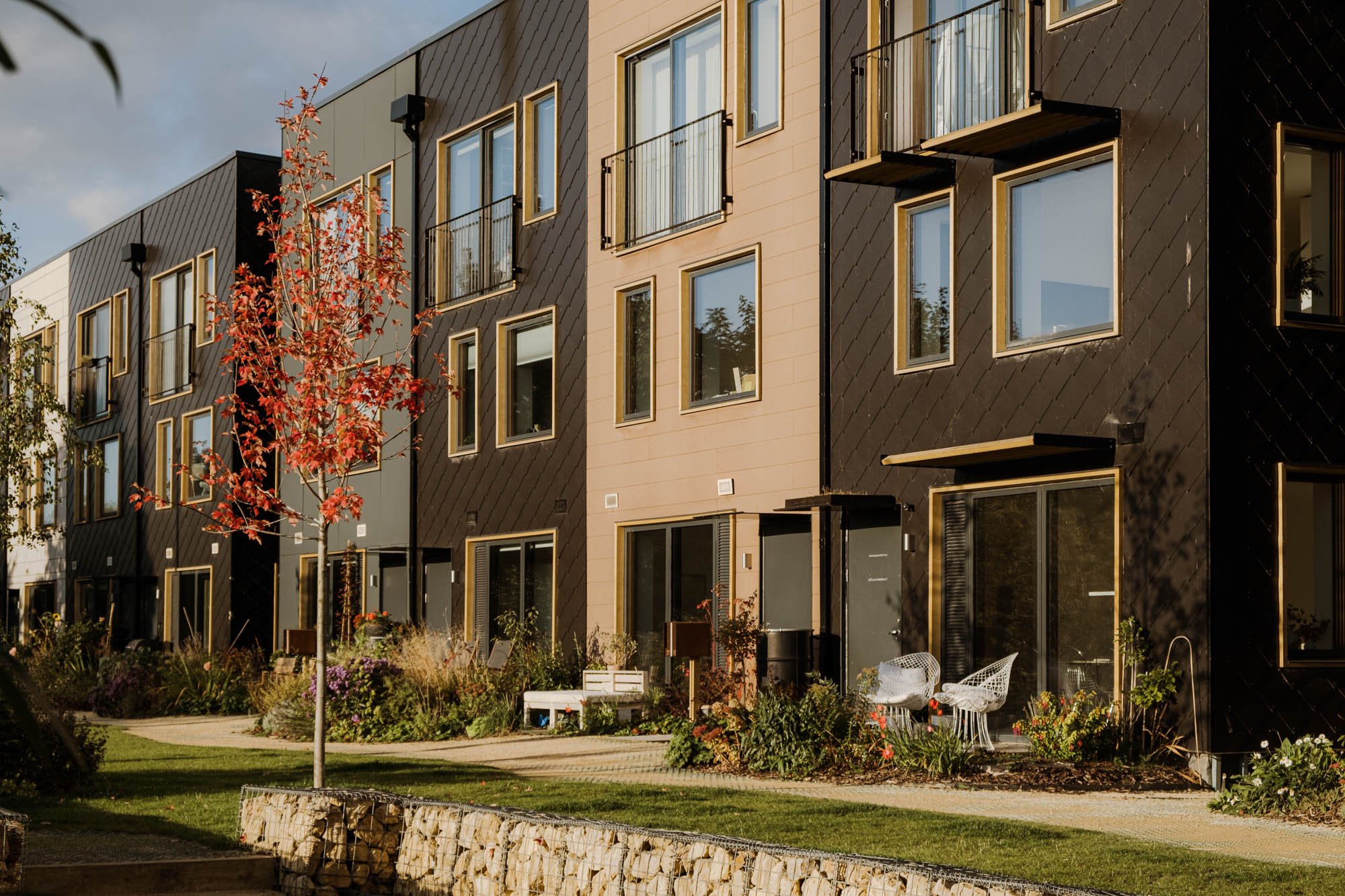 Energy-efficient buildings in the Climate Innovation District.