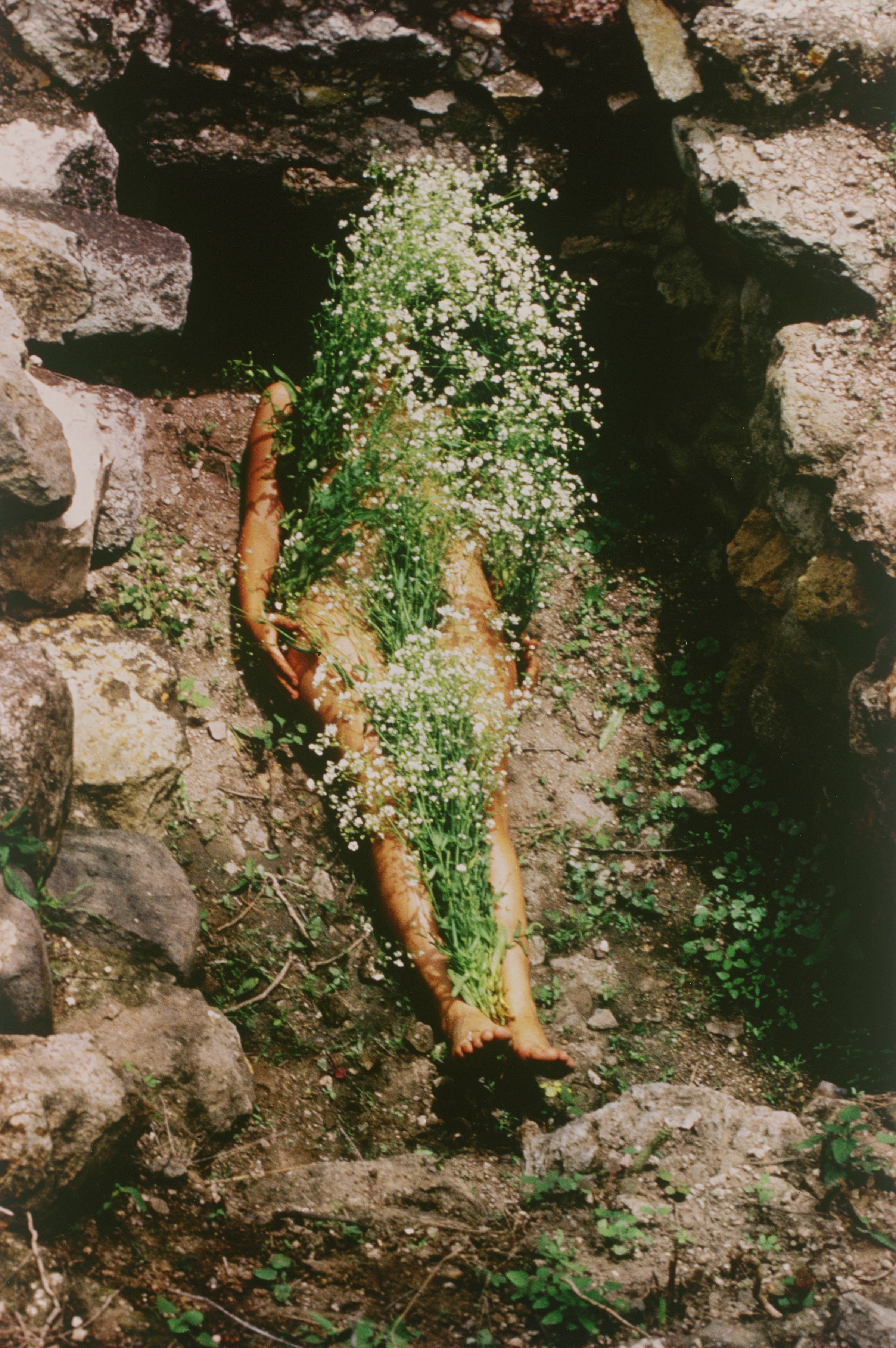 A supine body, covered in white flowers, lies on dirt and rocks.