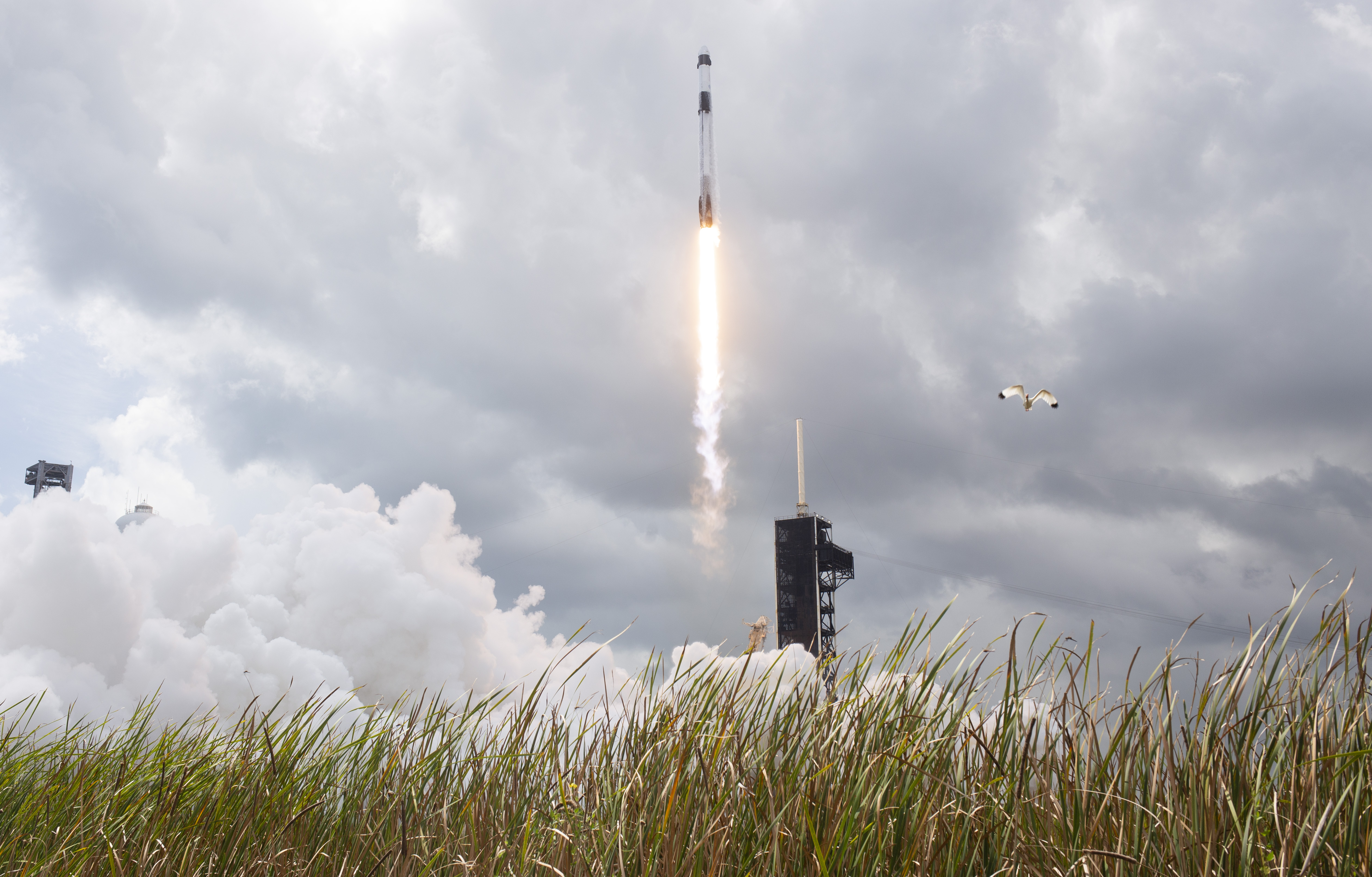A SpaceX Falcon 9 rocket launches from Launch Complex 39A, with a white plume of smoke and fire behind it, while a white bird flies in the cloudy sky to the right.