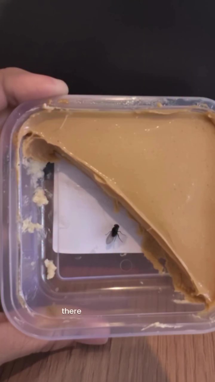Flies in a container of peanut butter.