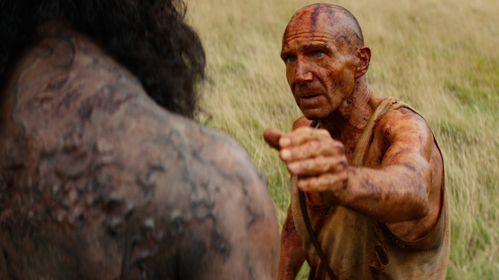 'I'm a huge admirer and fan of Cillian Murphy'